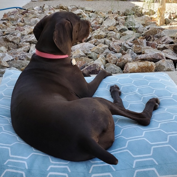 Meet your Posher, Marion - Picture 1 of 1